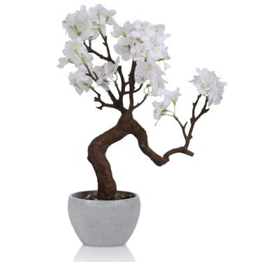 Imagem de TOARTi Vaso de flor de cerejeira branca artificial com vaso de pedra, flores falsas de 31 cm de altura, decoração de mesa, plantas decorativas para casa, quarto, banheiro, mesa de escritório