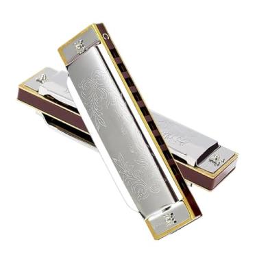 Imagem de Gaita profissional para iniciantes adultos 10 furos C Blues Tipo de desempenho