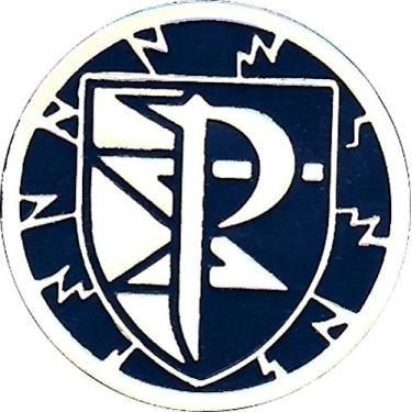 Imagem de Team Plasma Coin from the Pokemon Trading Card Game - Silver