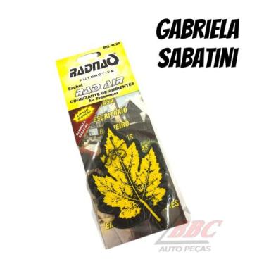 Imagem de Aromatizante Odorizador Folhinha Automotivo Vários Aromas - RADNAQ, GA