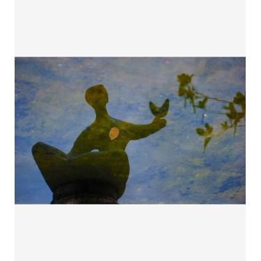 Imagem de Coração de Folha/2016 - Valério Silveira, 75x50