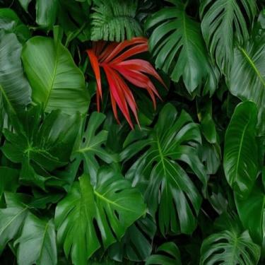 Imagem de Quadro Decorativo Colorido com Estampa Artística para Sala e Escritório 30x30cm