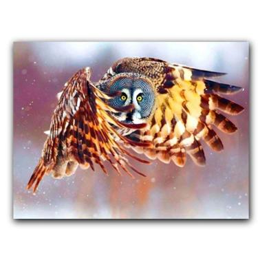 Imagem de Placa  Mdf  20 Cm X 30 Cm - Coruja  Bd11 