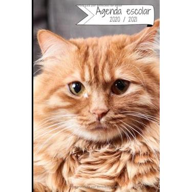 Imagem de AGENDA ESCOLAR 2020-2021: Agenda semana vista (Septiembre 2020 / Agosto 2021) | Planificador semanal (Español) | Calendario | Colegio, secundaria, estudiante | Tapa blanda Gato