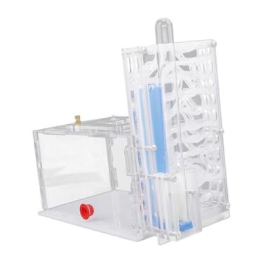 Imagem de Generic Caixa de para formigas, caixa de para formigas com cesto de ração, faça você mesmo, para mesa, sala de estar, cozinha doméstica, Branco