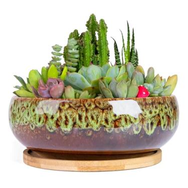 Imagem de ARTKETTY Vasos de suculentas – Vaso grande de bonsai de cerâmica com bandeja de drenagem para plantas de interior, jardim, decorativo, cacto, flor, recipiente, tigela