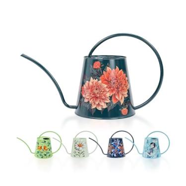 Imagem de Berry&Bird Regador Para Plantas Domésticas - Interno E Externo, Lata De Água Aço Inoxidável 1/2 Galão Com Bico Longo, Decoração Jardim Flores, Bonsai, Suculentas, Jardinagem, Garrafa Grande (2L/68Oz
