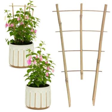 Imagem de Tutor Estacas de Bambu Tutor de Bambu Natural Treliça para Crescimento