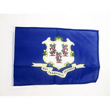 Imagem de Cabos de bandeira de Connecticut 45.7 cm x 12'' - Estado americano de Connecticut bandeiras PEQUENAS 30 x 45 cm - Banner 45.7x30.5 cm - AZ FLAG
