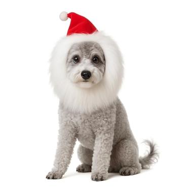 Imagem de ADOGGYGO Fantasia de Papai Noel para cachorro de Natal, chapéu de Papai Noel vermelho ajustável com peruca de barba branca, fantasias de Natal para cães pequenos, médios e grandes (branco, pequeno)