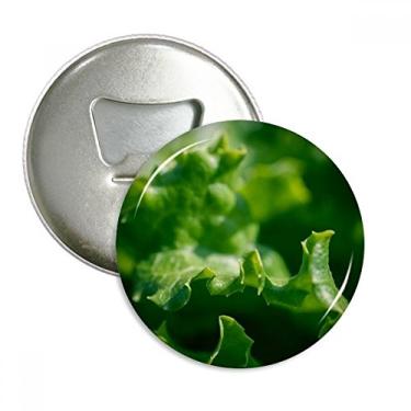 Imagem de Abridor de garrafas com ímã de geladeira com estampa de planta de folha macia e fotografia natural