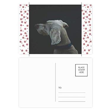 Imagem de Dog Pet Animal Lonely Night Christmas Flower Celebration Cartão postal Blessing Mailing Card