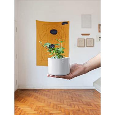 Imagem de Selvvva Vaso decorativo para Flores ou Plantas, Cachepô / Cachepot sem furo, Metálico, Reto, de Alumínio, 8,5 x 12 cm -