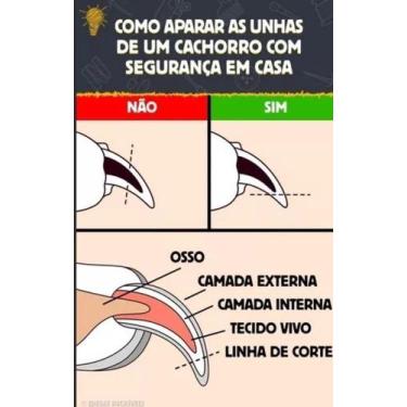 Imagem de Cortador De Unha Pet - Cachorro Médio E Grande - Alicate