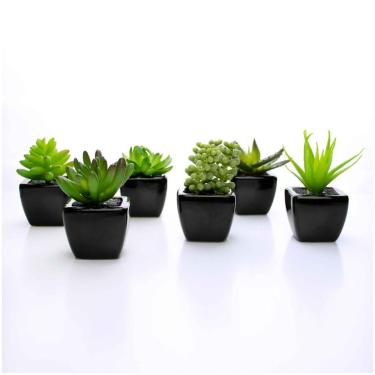 Imagem de Kit 06 Suculentas Artificial Sortida Vaso Preto Unidades 6x6 Cm