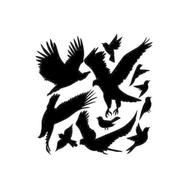 Imagem de Kit De Adesivo Para Vidro Espanta Passaros 11 Unid