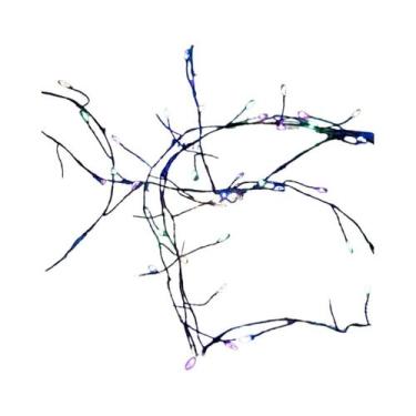 Imagem de Luzes De Fada LED Com Fio Verde 42M Para Decoração De Árvore De Natal,