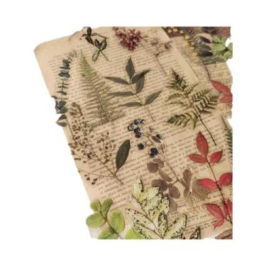 Imagem de Adesivos PET De Plantas De Rosa 40 Peças Flores Folhas Decoração Para 