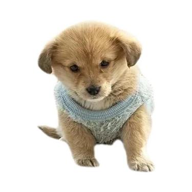 Imagem de Capa De Sofá Minimalista Em Jacquard Sólido Antiderrapante Para Todas 