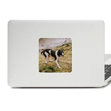 Imagem de Adesivo de cachorro preto branco animal imagem decalque vinil paster laptop decoração PC