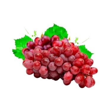 Imagem de Muda Frutífera de Uva Rubi Enxertada - AgroJardim