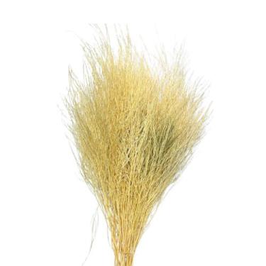Imagem de Buquê De Capim Aspargo Alvejado Desidratado Arranjo - Inspira Flora