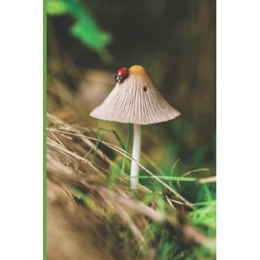 Imagem de Notebook: Beautiful Ladybug Journal Wide Ruled Notebook | 120 Pages 6 x 9 Size