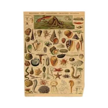 Imagem de Cartazes Vintage com Estampa de Cogumelos, Frutas e Vegetais - Arte Bo