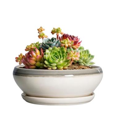 Imagem de SQOWL Plantadores de suculentas - vasos de bonsai de cerâmica de 15 cm, vaso raso com orifício de drenagem e pires, vaso redondo para ambientes internos e externos, vasos de suculentas de cacto