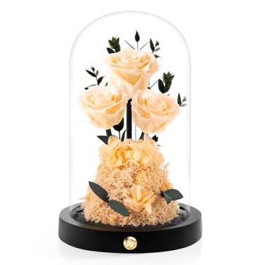 Imagem de Agrul Presentes de rosas de Natal para mãe, rosas preservadas em cúpula de vidro, presentes de aniversário de Natal de Ação de Graças para esposa, namorada, mulheres, melhor amiga, vovó/champanhe
