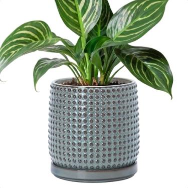 Imagem de D'vine Dev Vaso de cerâmica com contas de 15 cm - Vaso de flores com orifícios de drenagem e pires para plantas suculentas ou flores internas, azul grafite, 27-C-X-9