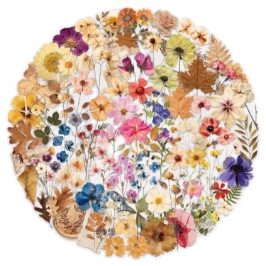 Imagem de Kit de adesivos de scrapbook de plantas e flores, 100 peças, aquarela, PET, transparente, à prova d'água, conjunto de adesivos para lixo, diário, garrafas de água, telefone, laptop, decalques para