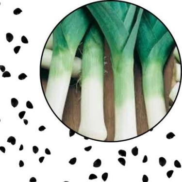 Imagem de Sementes S54 Alho Poró Gigante para Sabores Inesquecíveis Cultive Giga