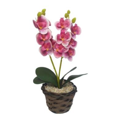 Imagem de Vaso De Arranjo com 2 Orquídeas Rosas - Salete Arranjos
