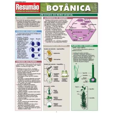 Imagem de Resumao Botanica - Bafisa