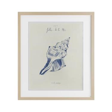 Imagem de Stupell Industries Filles De La Mer Conch Shell Birch Impressão Emoldurada sob Vidro Design por 1x, 16 x 13