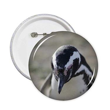 Imagem de Pinguins fofos ciência natureza imagem pinos crachá botão emblema decoração acessório 5 peças