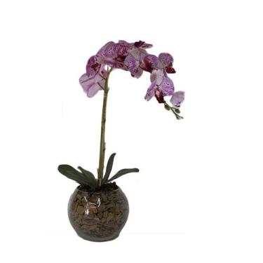 Imagem de Orquídea Rosa Pintada x1 Vaso Aquário - Biofil