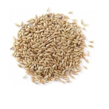 Imagem de Alpiste Polido Limpo Aves Pássaros Sementes Pacote 1, 3, e 5 Kg Limpa 