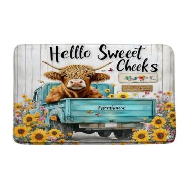 Imagem de GCTNBJL Highland Cow Tapete de banho rústico casa de fazenda azul retrô caminhão girassol vintage porta de celeiro engraçado fazenda ocidental casa escritório quarto capacho banheiro toalete, 40 x 75