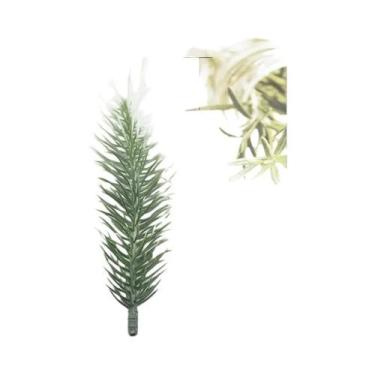 Imagem de Decoração De Árvore De Natal Com Agulhas De Pinheiro Artificiais E Flo