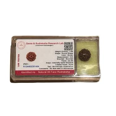 Imagem de Contas Rudraksha Natural da AwakenYourKundalini (1,2,3,4,5,6,7,8,9,10,11,12,13,14 faces) Original Rudraksha Beads Himalayan Origem Nepal Coleções - Certificado de laboratório -, 6 Mukhi Faced, 1