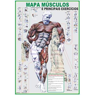 Imagem de MAPA MÚSCULOS E PRINCIPAIS EXERCÍCIOS - GIGANTE: LARGURA 89 CM X ALTURA 117 CM