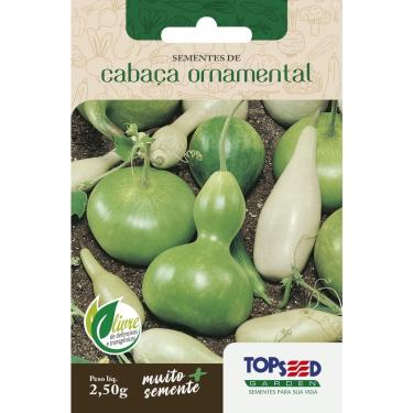 Imagem de Sementes de Cabaça Ornamental Artesanato 2,50 gramas