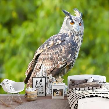 Imagem de Lcythiazole Mural de papel de parede de coruja de tamanho personalizável, foto de coruja de alta definição ao ar livre, fundo verde, adequado para quarto infantil, sala de estar, quarto