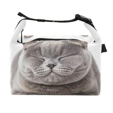 Imagem de TSENQUE Lancheira feminina British Shorthair para gatos isolada para trabalho, portátil, adulto, com alça de ombro ajustável