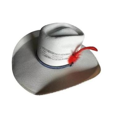 Imagem de Chapéu Country Pralana Feminino Com Strass Aba 12 TAM P, BANGORA