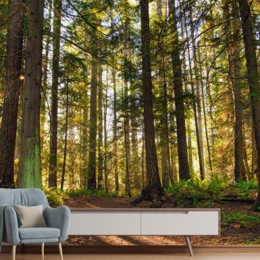 Imagem de Papel de Parede Paisagem Floresta Natureza Sala Painel - 065pcp - Allo