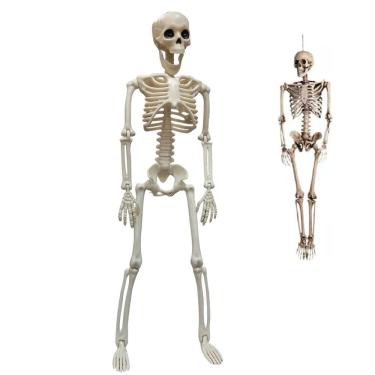 Imagem de Esqueleto Caveira Halloween Dia das Bruxas Festa Tematica Ossos Corpo Humano Pendura Po...