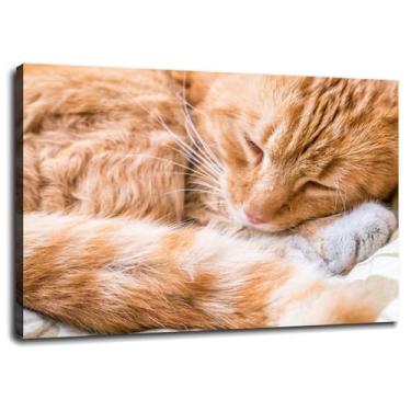 Imagem de 093 Impressão em tela de gato gengibre animal de estimação arte de parede para casa 1 peça decorações com moldura 40.6 cm x 30.5 cm